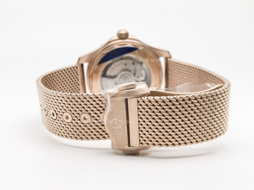 Seamaster 300m 210.90.42.20.01.003 Bronze Gold RG/RG Black VSF A8806