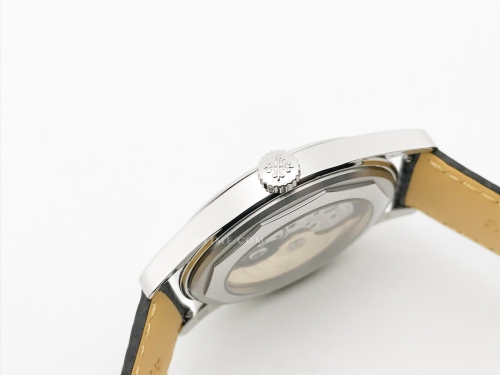 Calatrava 6007A SS/LE Blk/Yelw PPF MY9015 Mod