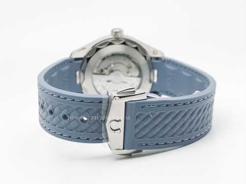 Aqua Terra SS/RU S-Blue A8F A2813