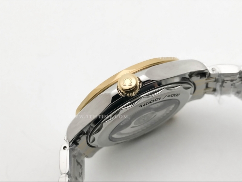 Seamaster 300m 2018 Blk YG/SS Black GDF MY8215