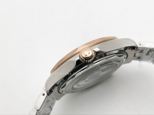 Seamaster 300m 2018 Blk RG/SS Black GDF MY8215