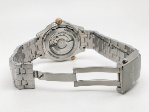 Seamaster 300m 2018 Blk RG/SS Black GDF MY8215