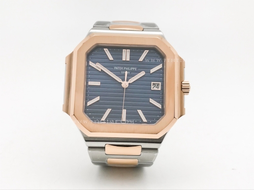 Cubitus 5821 RG/SS Blue/Stk PPF A330