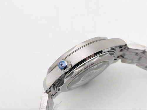 Seamaster 300m SS/SS Green BLS Asia 8800