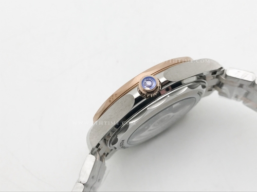 Seamaster 300m RG/SS Black BLS Asia 8800