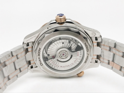 Seamaster 300m RG/SS Black BLS Asia 8800