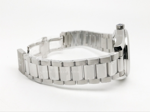 Aqua Terra 2015 41mm SS/SS S-Wht/SS JVS