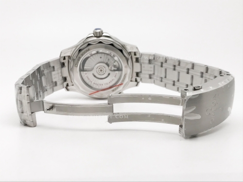 Seamaster 300m SS/SS Blue EWE Asia 8800