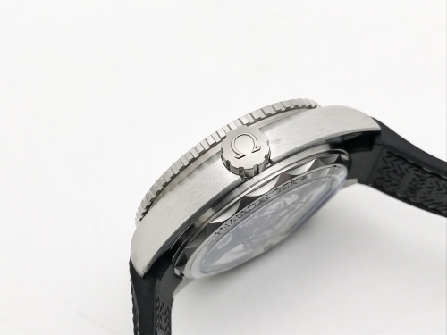 Planet Ocean 43.5mm Blk Cer SS/RU Grey VSF A8900