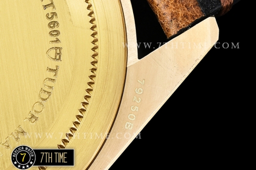 Tudor Heritage Black Bay Bronzo Basel Superlumed Brown Dial with Needles Brushed Bronze Tang Buckle