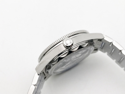 Seamaster 300 Heritage SS/SS Black VSF A8912