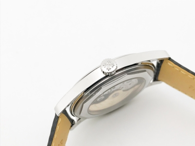 Calatrava 6007A SS/LE Blk/Yelw PPF MY9015 Mod