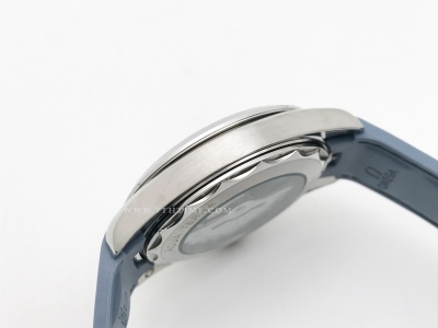 Aqua Terra SS/RU S-Blue A8F A2813