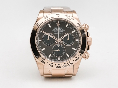 Daytona 126505 RG/RG Brn/Stk THB SH4131-2