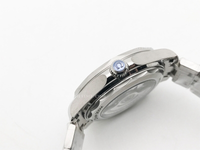 Seamaster 300m SS/SS Black BLS Asia 8800