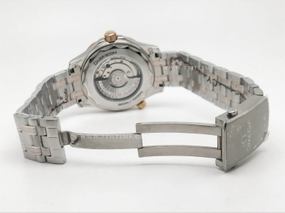 Seamaster 300m 2018 Blue RG/SS Blue GDF MY8215