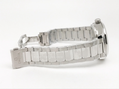 Aqua Terra 41mm SS/SS Green Teak JVS A8900