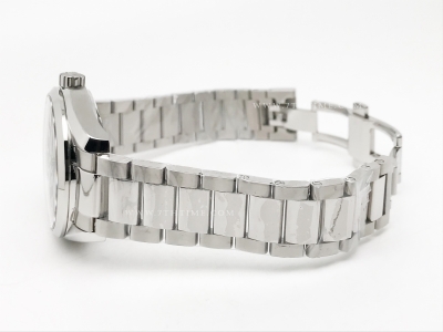 Aqua Terra 2015 41mm SS/SS Blk/Stk JVS A8508