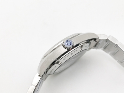 Aqua Terra 2015 41mm SS/SS S-Wht/SS JVS