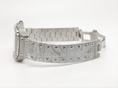 Santos 40mm Dia Dia/Dia Dia/Blk-Ara TWF MY8215